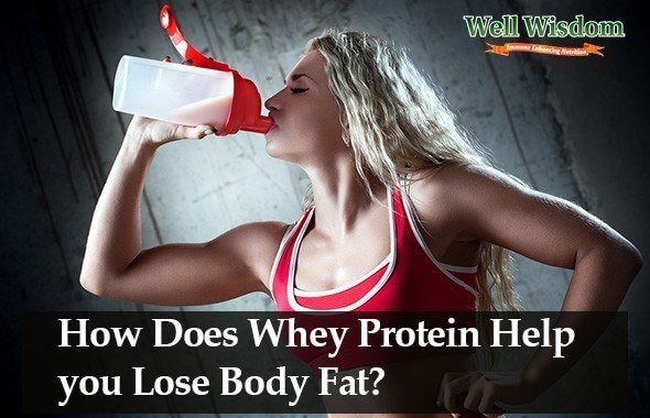 Can Protein Help Burn Fat
