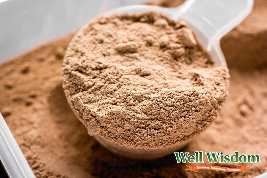 Best Gluten Free Protein Powder