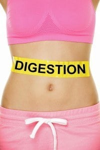 Digestion Concept