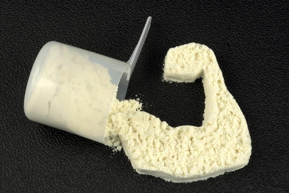 Whey Protein Promotes Muscle Mass