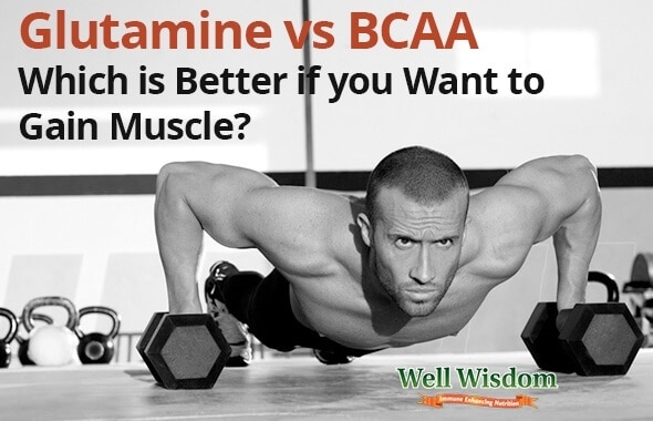 Glutamine Vs Bcaa Which Is Better For Muscle Gain Images, Photos, Reviews