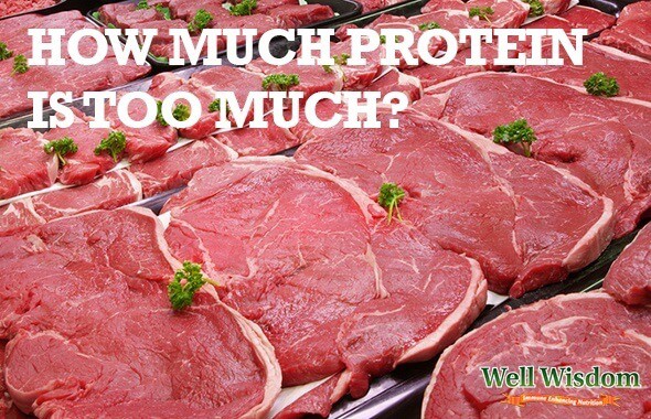 how much protein is too much