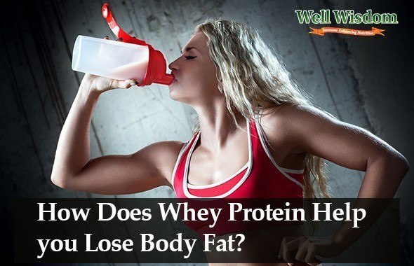 How Does Whey Protein Burn Fat 