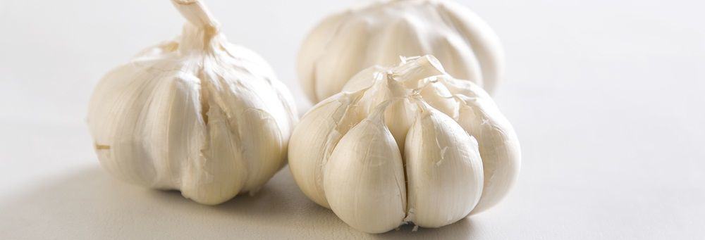 Garlic herbal supplement