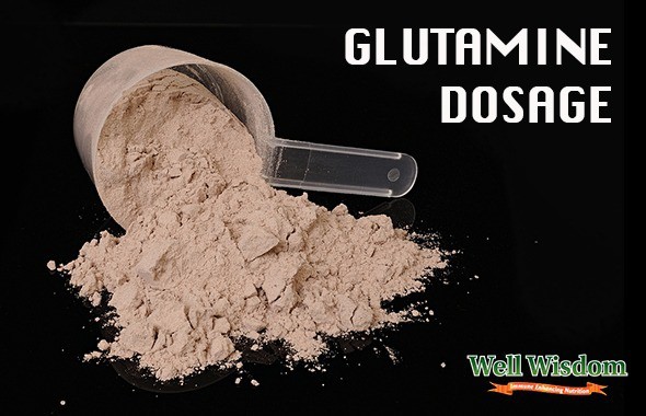 glutamine dosage