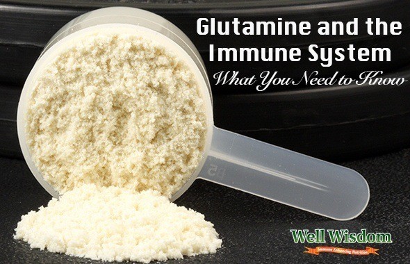 glutamine powder benefits