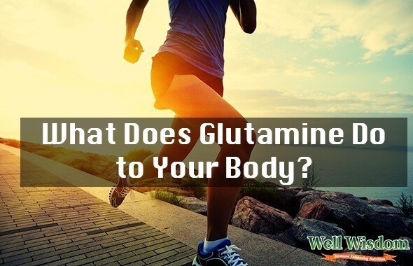 what does glutamine do to your body