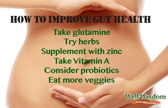 how to improve gut health
