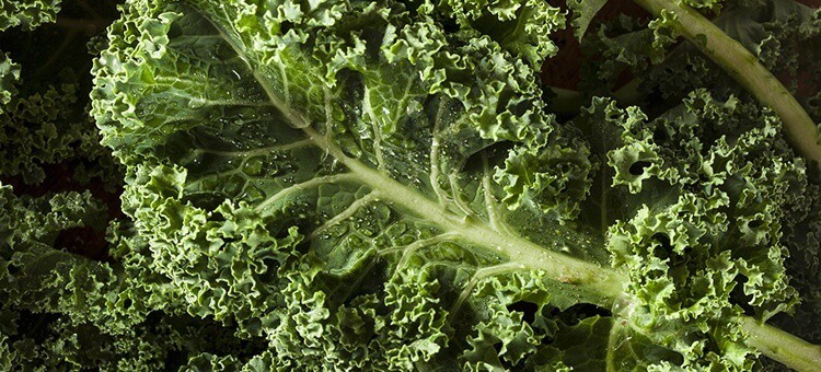 kale is on the list of 10 best superfoods