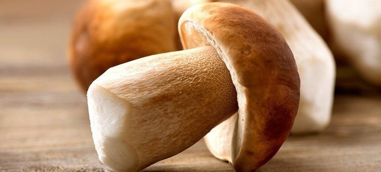 mashrooms are among best foods for immune system