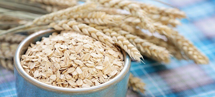 barley and oats