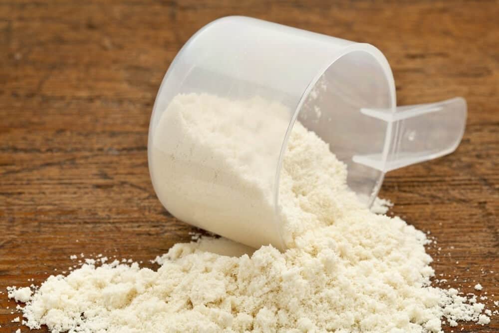 a scoop of protein powder concentrate