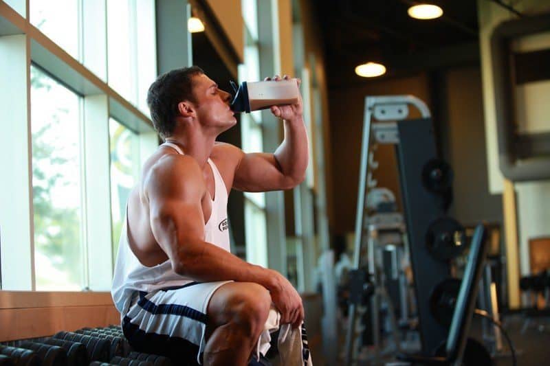 whey protein digestion
