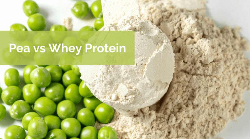Whey protein vs pea protein