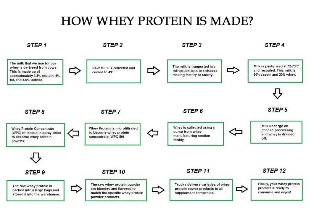 Whey Protein