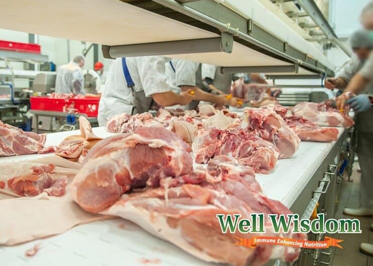 Pork Processing Meat Food Industry Raw slabs of meat on counter