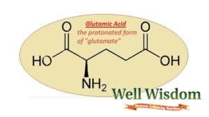 Glutamic Acid
