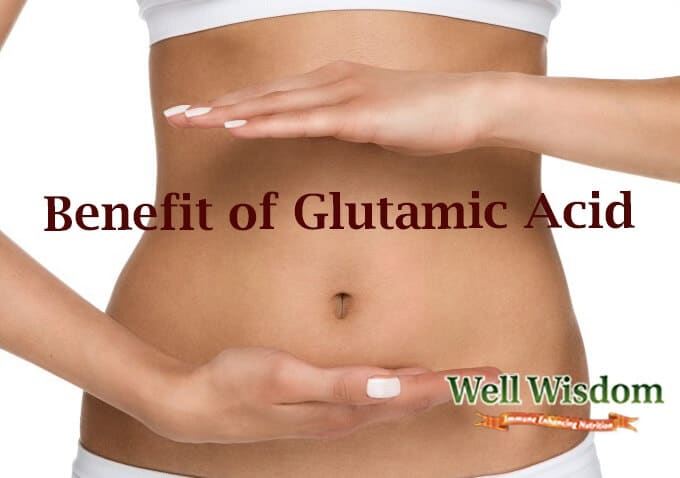 What is Glutamic Acid and What Are Its Benefits?