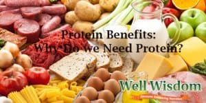 Protein Benefits