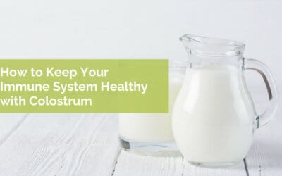How to Keep Your Immune System Healthy with Colostrum