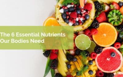 The 6 Essential Nutrients Our Bodies Need