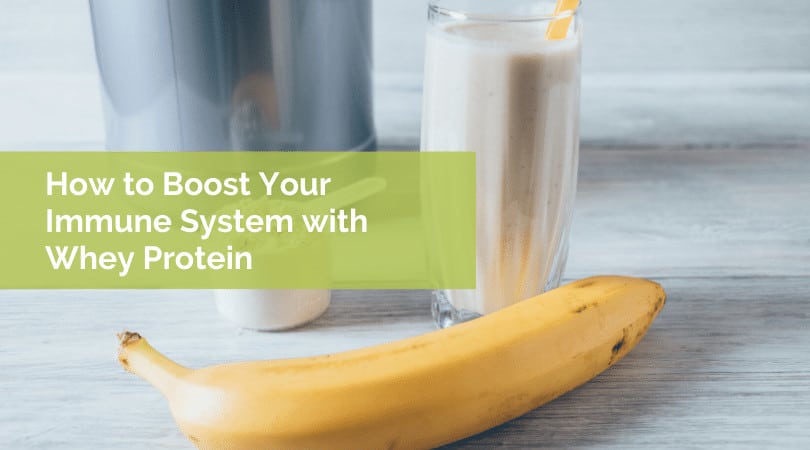 How to Boost Your Immune System with Whey Protein 