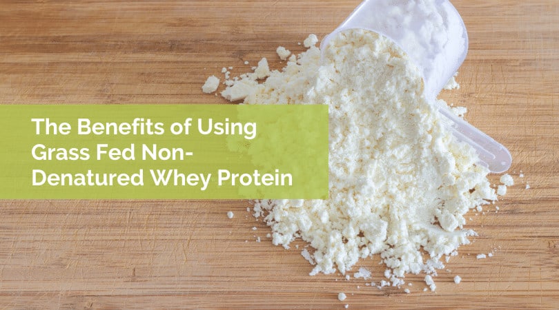 The Benefits of Using Grass Fed Non-Denatured Whey Protein