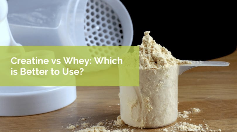 Creatine vs Whey: Which is Better to Use?