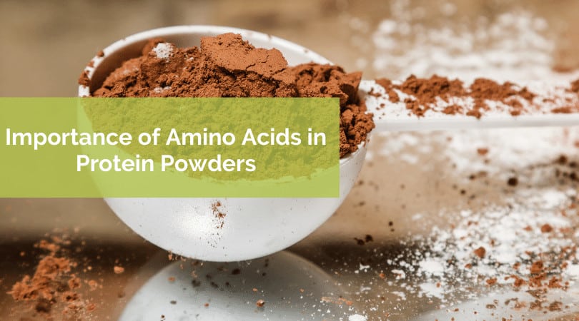 Importance of Amino Acids in Protein Powders