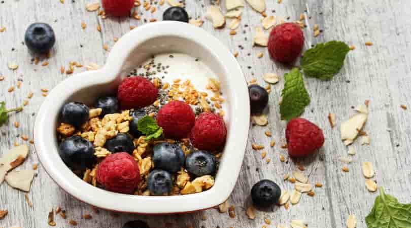 Protein Greek Yogurt Bowl Recipe