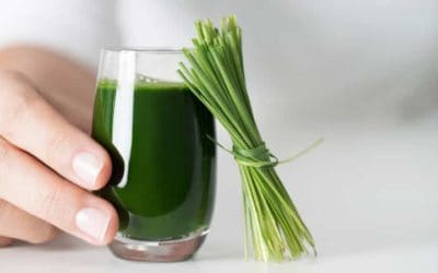 Wheatgrass Colostrum Shot Recipe