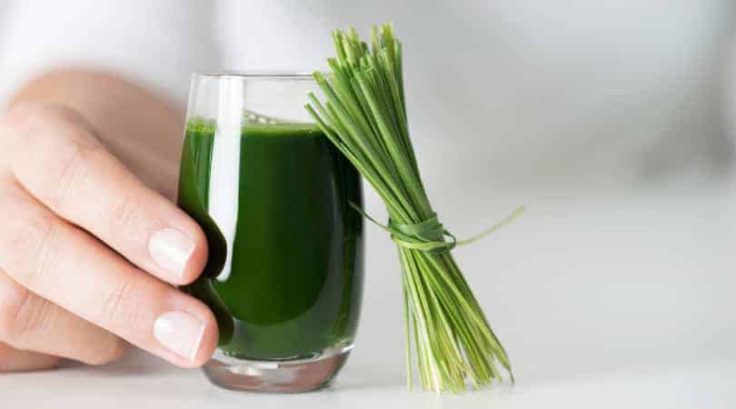 Wheatgrass Colostrum Shot Recipe