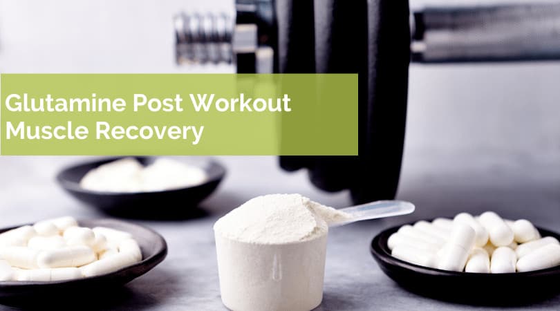 Glutamine Post Workout – Decrease Your Recovery Time