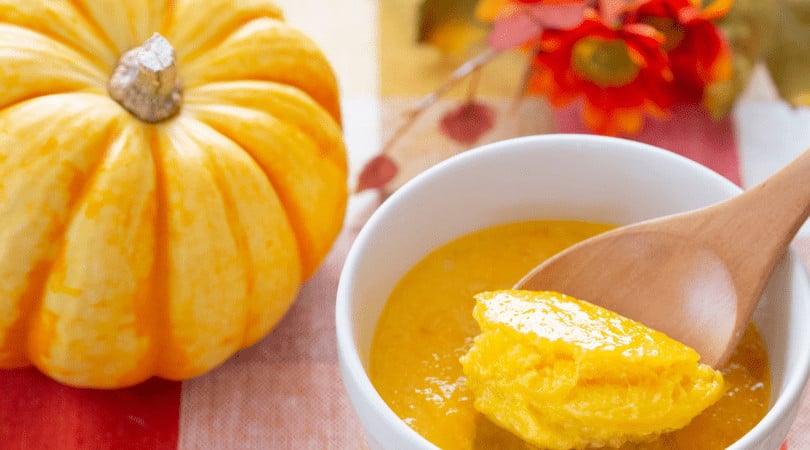 peanut butter pumpkin protein pudding