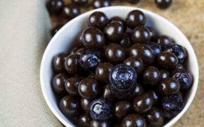 Chocolate Blueberry Balls