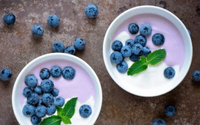 Blueberry Basil Frozen Yogurt
