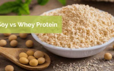 Soy vs Whey Protein: Which Is Better?