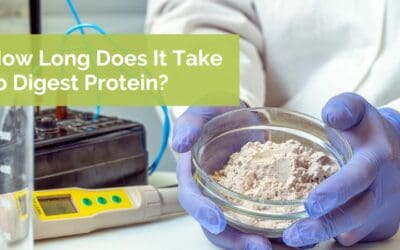 How Long Does It Take to Digest Protein?