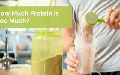 How Much Protein is Too Much?